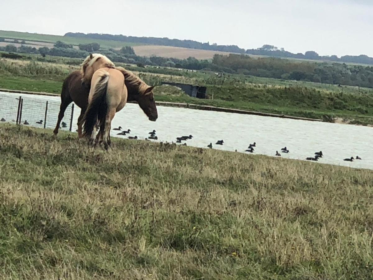 Le Gite De Martine En Baie De Somme Villa Lancheres Eksteriør billede