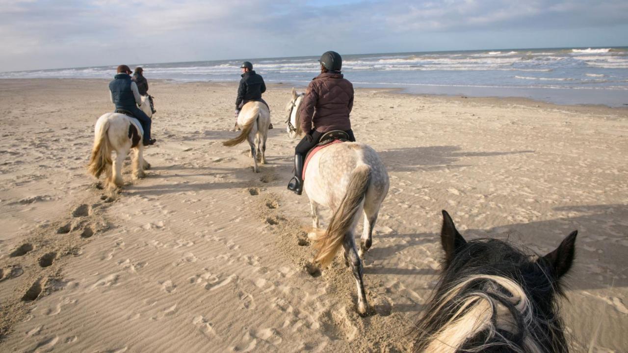 Le Gite De Martine En Baie De Somme Villa Lancheres Eksteriør billede