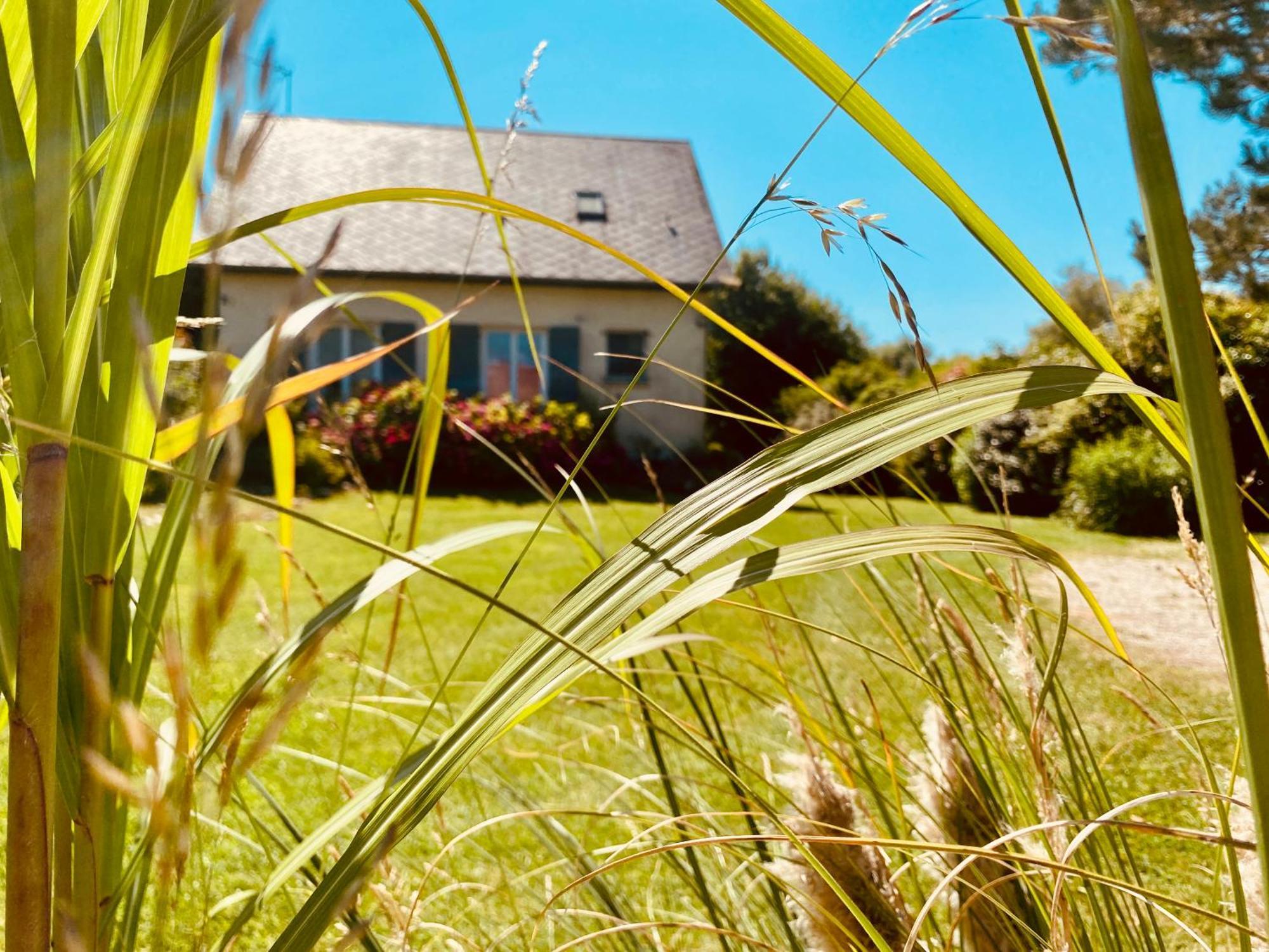 Le Gite De Martine En Baie De Somme Villa Lancheres Eksteriør billede